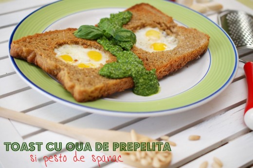 Toast Cu Oua De Prepelita Si Pesto De Spanac Retete Culinare By