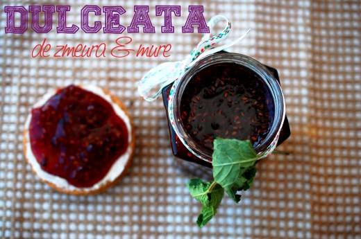 dulceata de zmeura cu mure