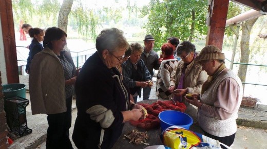 nepoti de craciun