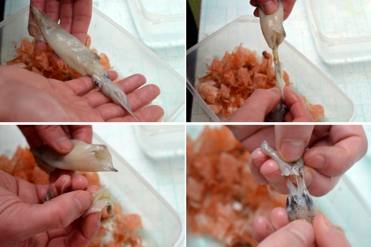 cum curatam calamarii fritto misto