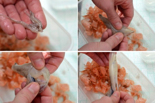 cum curatam calamarii fritto misto