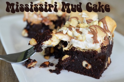 mississipi mud cake